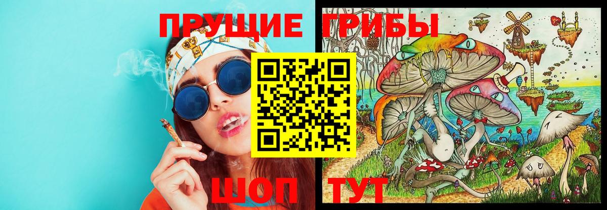 Псилоцибиновые грибы мухоморы  Псилоцибиновые грибы MAGIC MUSHROOMS  Вход с VPN  Чебаркуль 